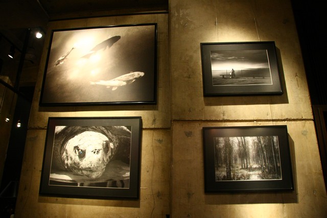 Sylvio Tabet Gallery Opening